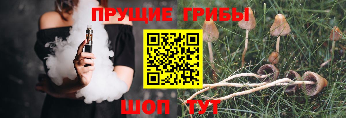 Псилоцибиновые грибы мицелий Светлоград